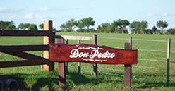 Finca Los Ceibos