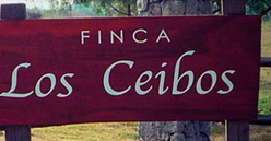 Finca Los Ceibos